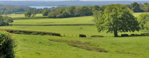 A rare opportunity to purchase a ring fenced pasture and arable farm with a detached bungalow, extensive range of livestock buildings, and approximately 118.33 acres of land in a peaceful rural location, which could give rise to viticulture opportuni...