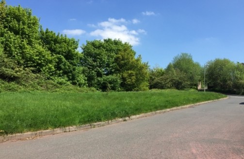 The site consists of a plot of land extending to approximately 0.462 acres, currently green space. The land is rectangular in shape, predominantly level and south facing.<br><br>The site is situated in an popular residential area and enjoys direct ac...