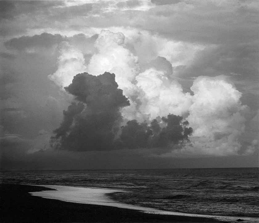 Still Life and Nature - Harold Feinstein Archive