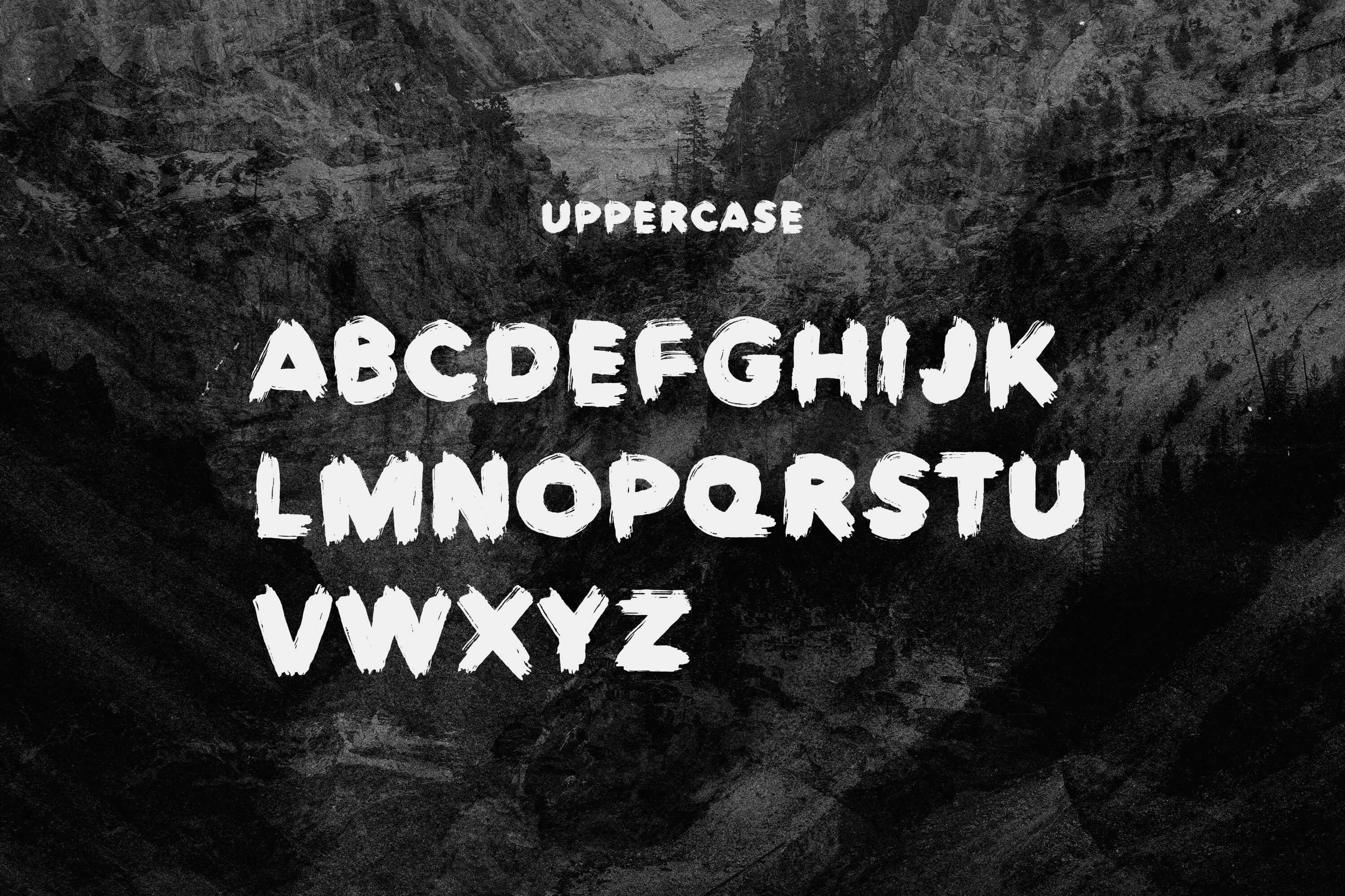 Type Services Europa Brush Script