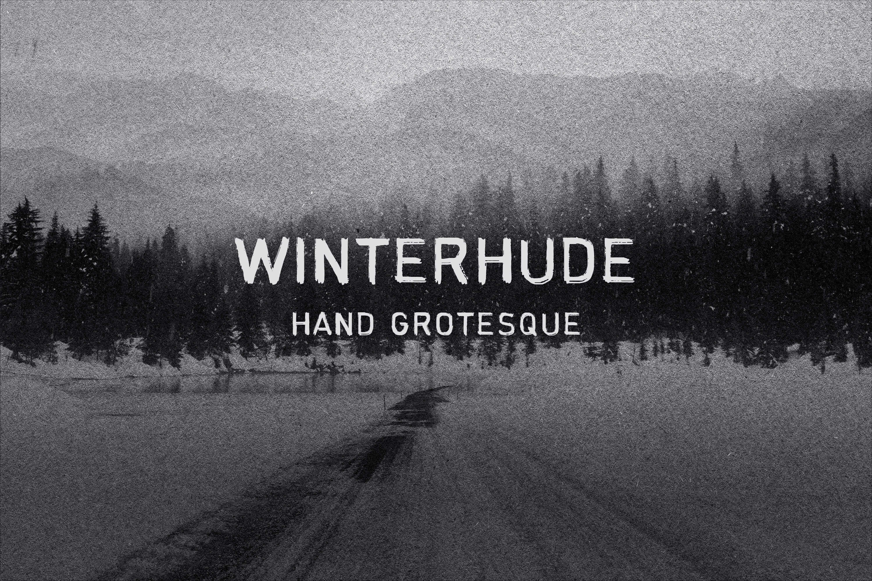 Type Services Winterhude Hand Grotesque