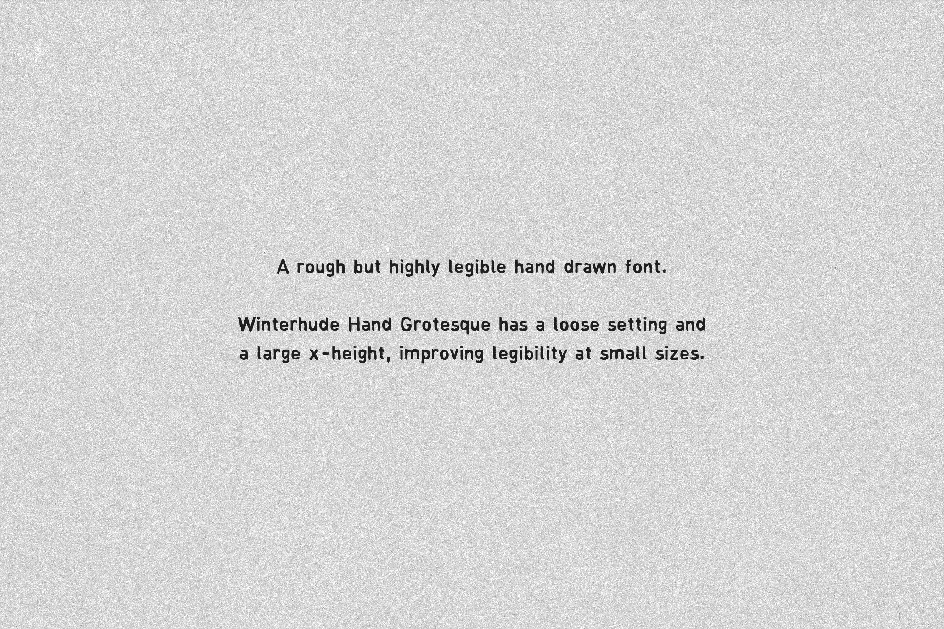 Type Services Winterhude Hand Grotesque