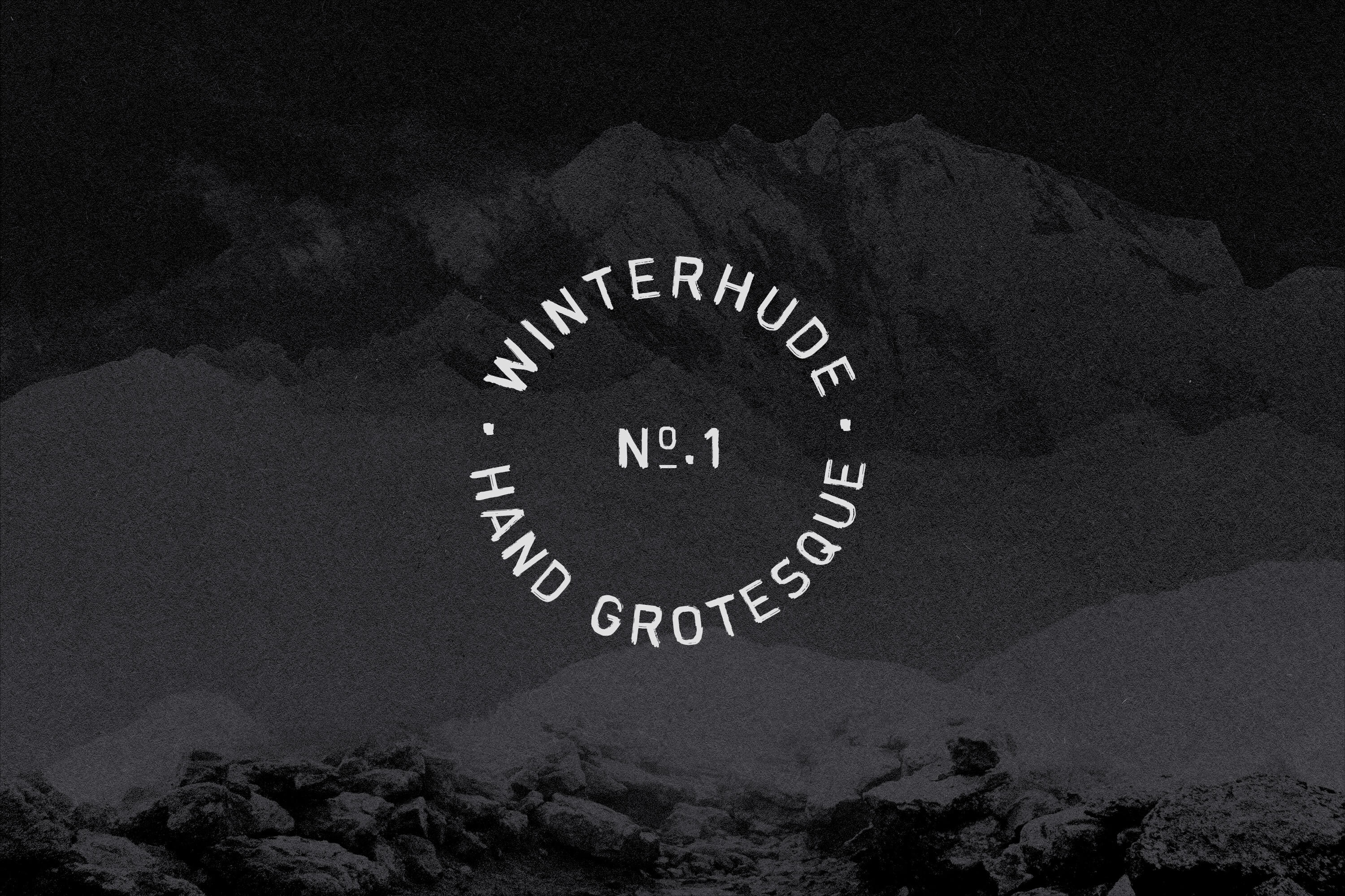 Type Services Winterhude Hand Grotesque