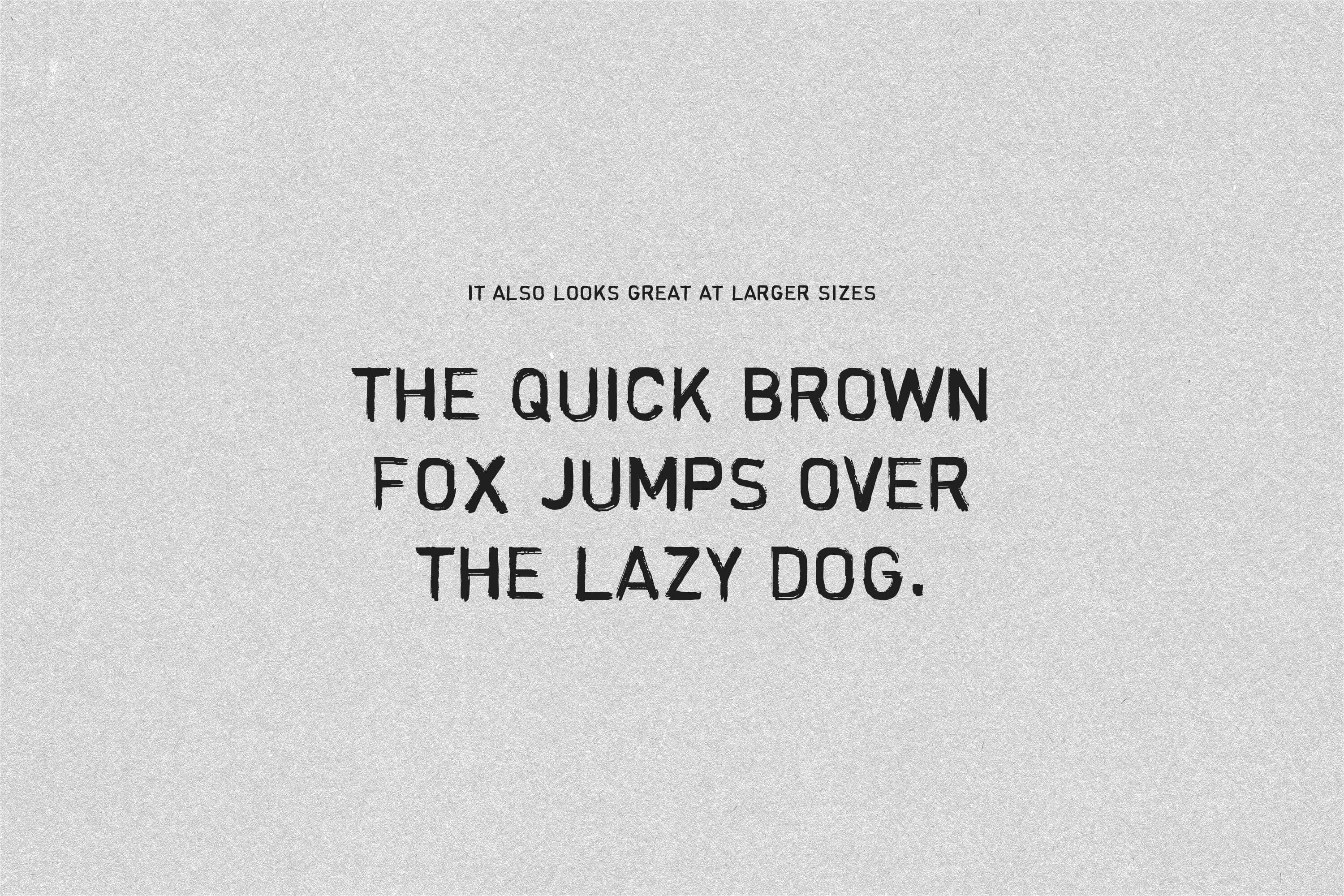 Type Services Winterhude Hand Grotesque