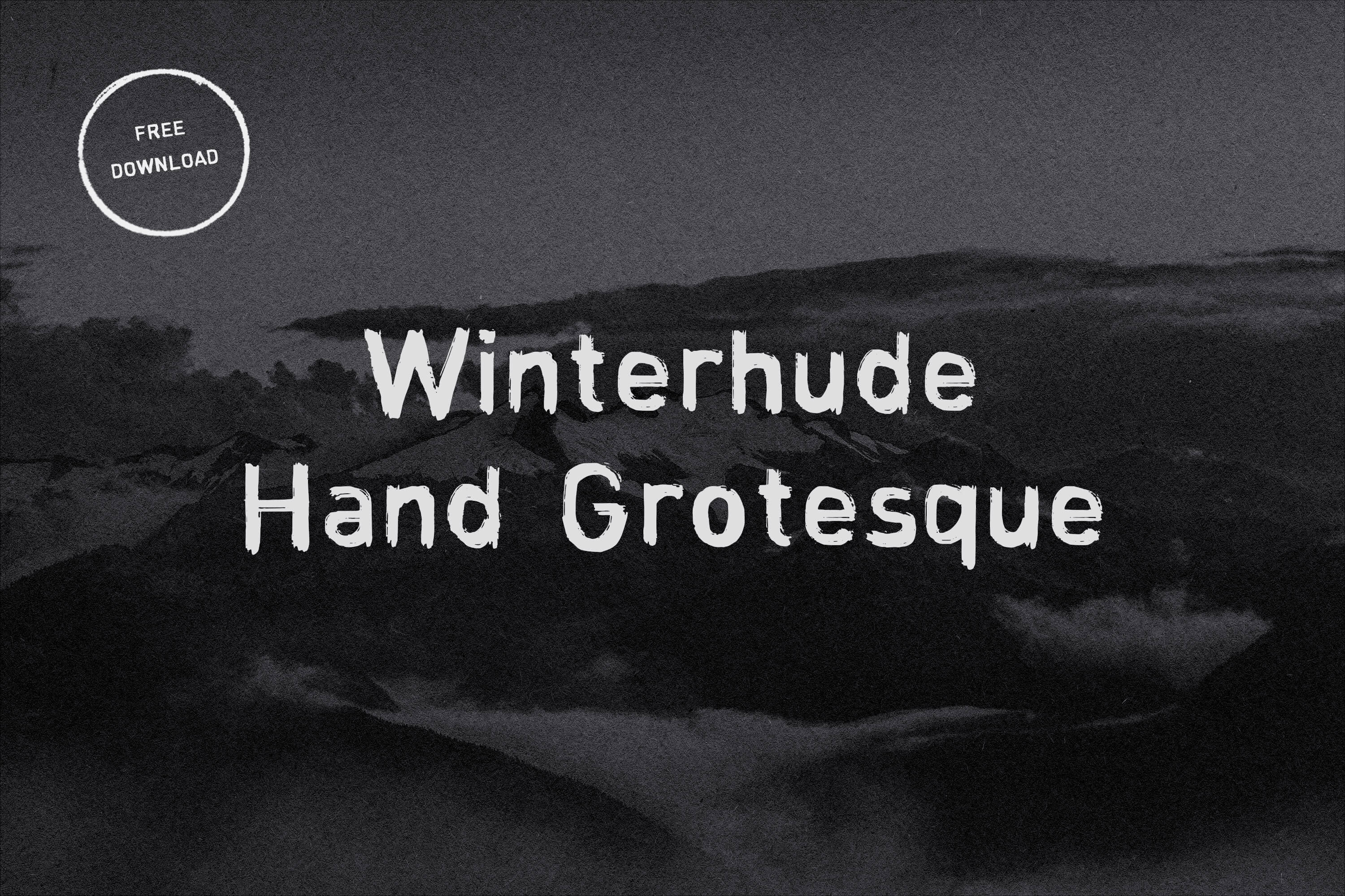 Type Services Winterhude Hand Grotesque