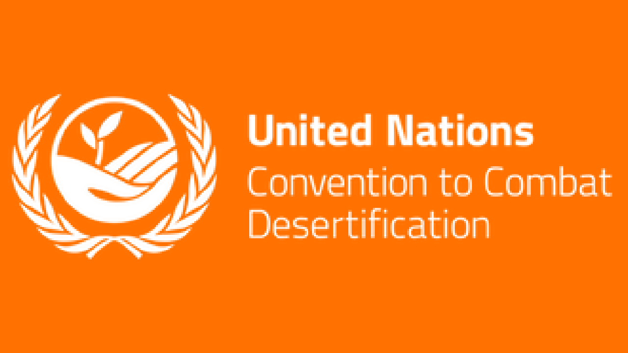 United Nations is Hiring for Interns United Nations is Hiring for Interns