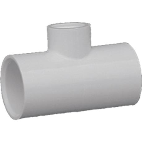 Charlotte Pipe 1/2" Solvent x FIP Schedule 40 PVC Tee