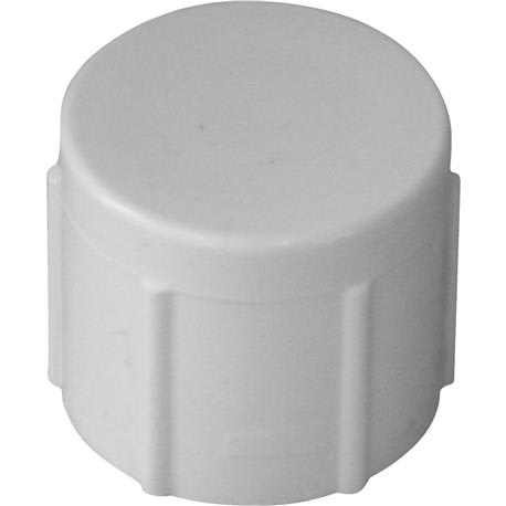 Charlotte Pipe 2 In. FIP Schedule 40 PVC Cap