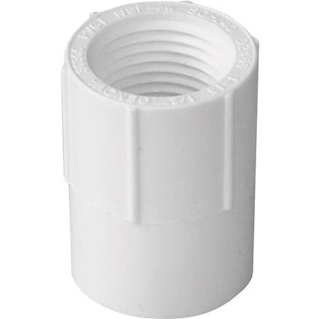 Charlotte Pipe 1-1/4 In. Female Schedule 40 PVC Adapter