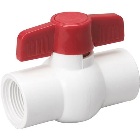 ProLine PVC Schedule 40 Ball Valve, 2 In. FIP x 2 In. FIP