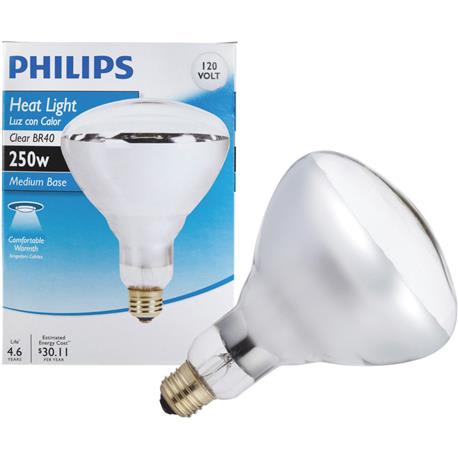 Philips 250 Watt BR40 Incandescent Heat Light Bulb