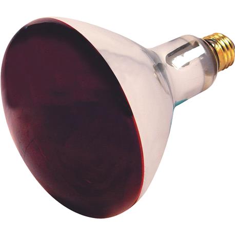 Satco 250 Watt R40 Red Incandescent Heat Light Bulb