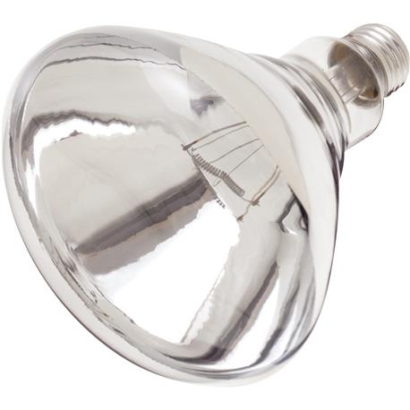 Satco 250 Watt R40 Clear Incandescent Heat Light Bulb