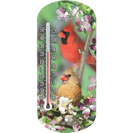 Taylor Cardinal Outdoor Window Thermometer, 8 in.