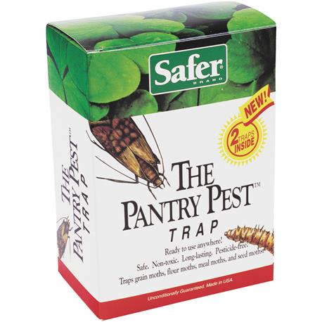 Non-Toxic Flour & Pantry Moth Traps