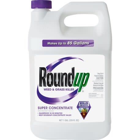 Roundup Super Concentrate Weed & Grass Killer, 1 gal.