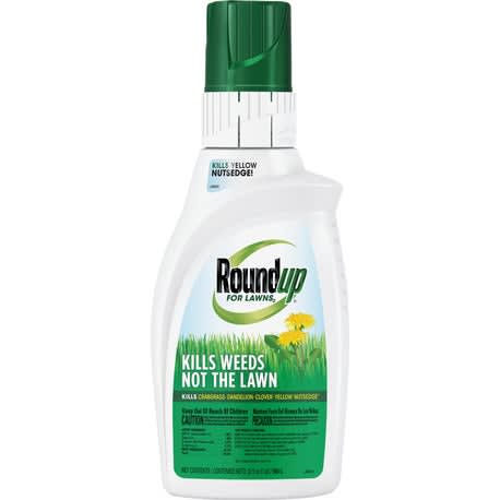 Roundup Concentrate for Northern Lawns, 32 oz.