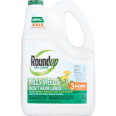 Roundup Refill for Northern Lawns, 1.25 gal.