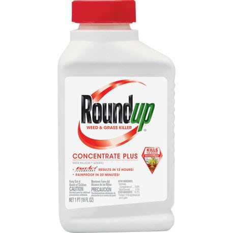 Roundup Concentrate Plus Weed & Grass Killer, 16 oz.