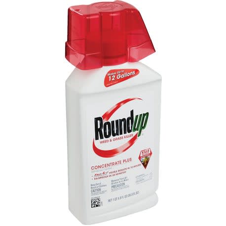 Roundup Concentrate Plus Weed & Grass Killer, 36.8 oz.