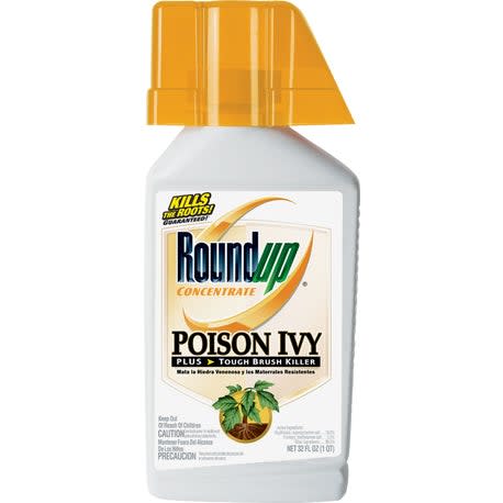 Roundup Poison Ivy Plus Tough Brush Killer Concentrate, 32 oz.