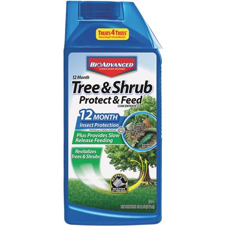 BioAdvanced Tree & Shrub Protect & Feed Insect Killer Concentrate, 1 Quart