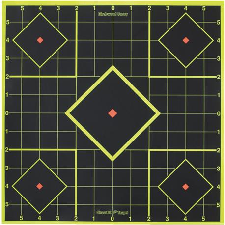 Birchwood Casey Shoot-N-C Sight-In Target