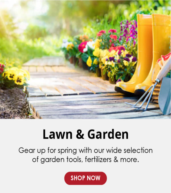 Search result page for pressure washers.