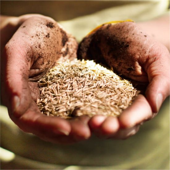 Seed & Fertilizer Hartville Hardware Middlefield Hartville Hardware