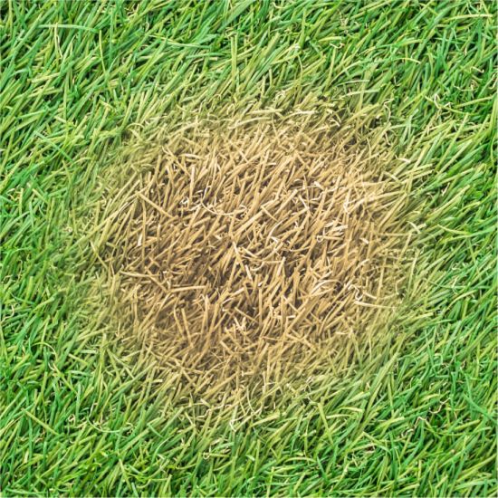 Seed & Fertilizer Hartville Hardware Middlefield Hartville Hardware