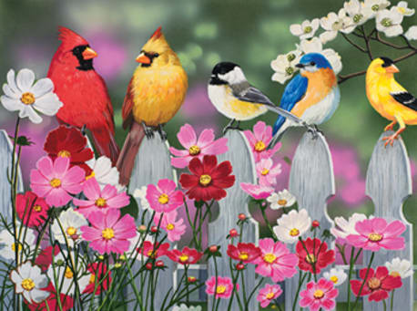 SunsOut "Songbirds and Cosmos" Puzzle, 500-Pieces