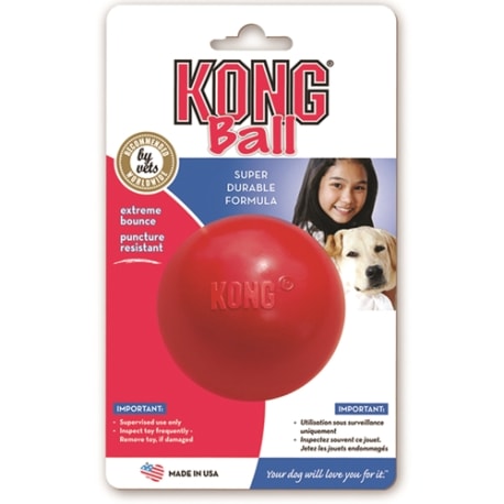 Why your dog needs a KONG