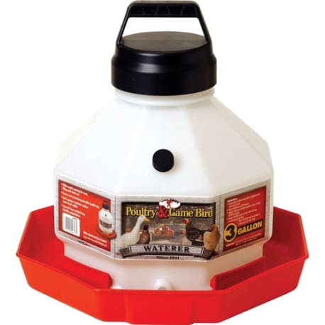 Little Giant 3-gal Plastic Poultry Waterer