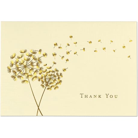 Peter Pauper Press Dandelion Wishes Thank You Notes