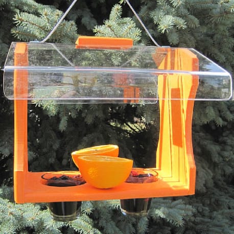 Nature Products Orange Oriole Buffet Feeder