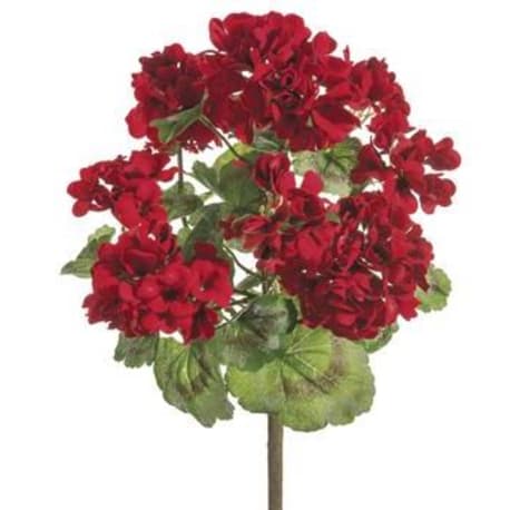 Allstate Floral Red UV Protected Geranium Bush, 18 in.