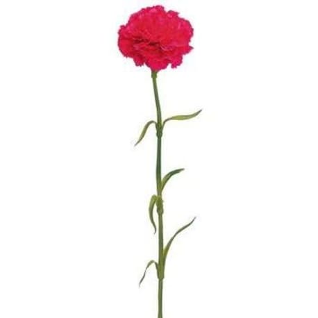 Allstate Floral Beauty Carnation Spray, 21.5 in.