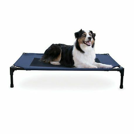 K&H Large Blue Elevated Pet Bed