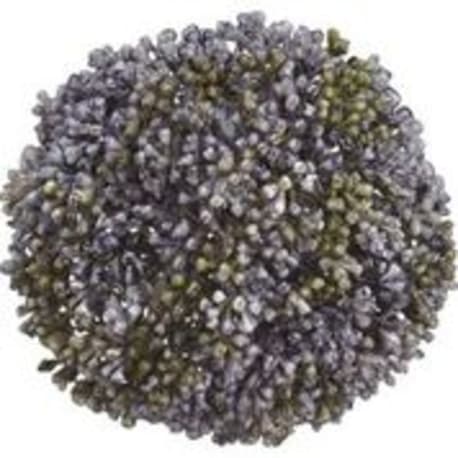 Allstate Floral Green Lavender Sedum Orb, 4 in. 