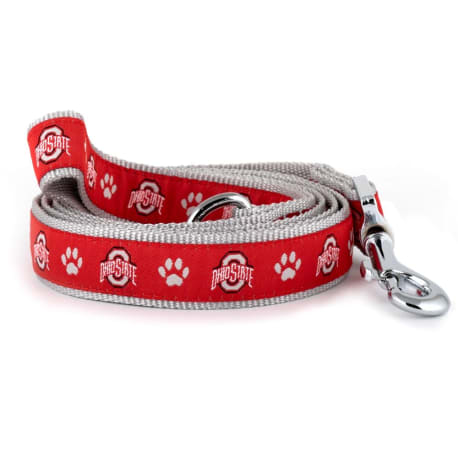 Worthy Dog Small Ohio State & Paw Print Leash, 5 ft.