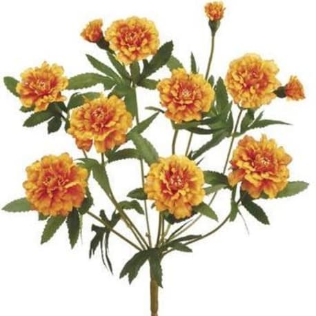 Allstate Floral Orange Marigold Bush, 15 in.