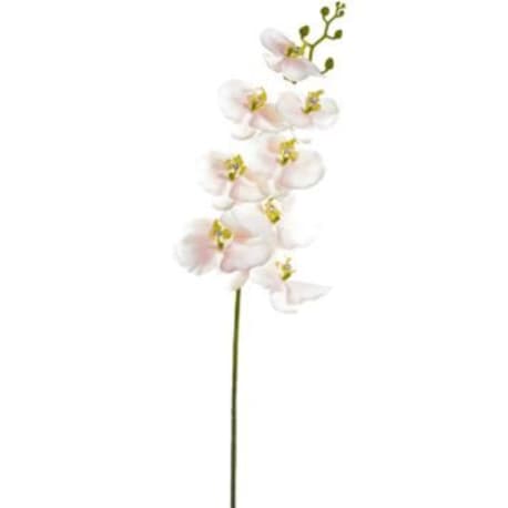 Allstate Floral Blush Phalaenopsis Orchid with Rhinestones Spray, 32 in.