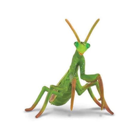 CollectA Praying Mantis