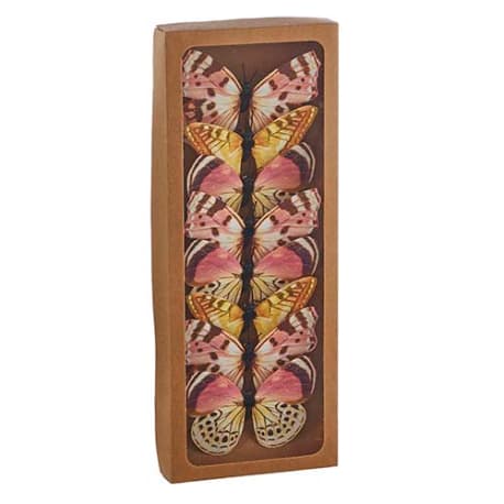 RAZ Imports Box of Clip on Butterflies, 8-Pack