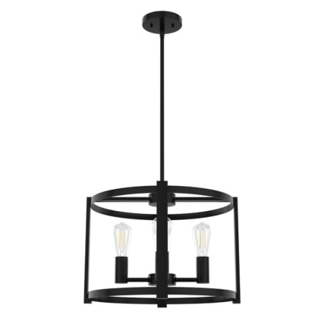 Hunter Astwood Matte Black 4 Light Chandelier