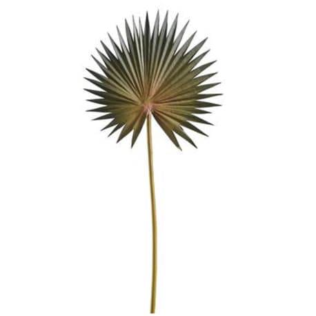 Allstate Floral Dark Green Fan Palm Spray, 15.5 in.