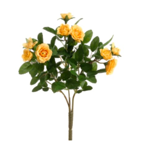 Allstate Floral Mini Yellow Rose Bush, 10 in.