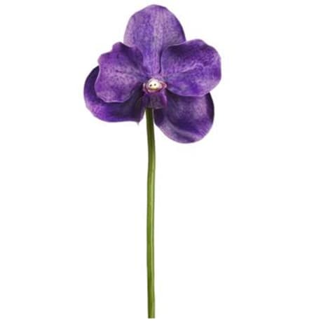 Allstate Floral Purple Vanda Orchid Pick, 10 in.