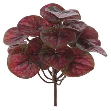 Allstate Floral Burgundy Peperomia Bush, 8 in.