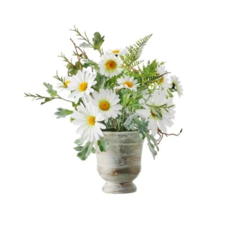 Regency International Daisy in Urn Arrangement, 16 in.